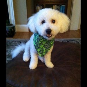 Meet your Posher, Betty jo