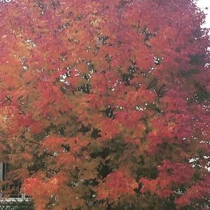 Meet your Posher, Shelly