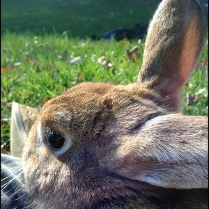 Meet your Posher, Hailey