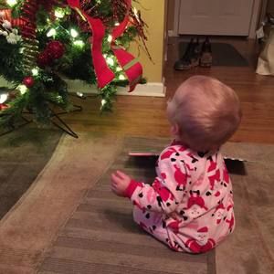 Meet your Posher, Dawn