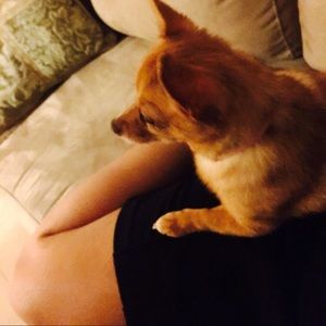 Meet your Posher, Danielle