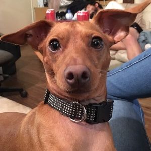 Meet your Posher, Linda