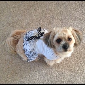 Meet your Posher, Sandra