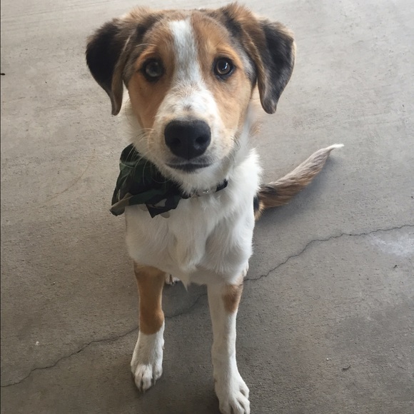 Meet your Posher, Cynthia