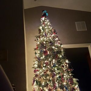 Meet your Posher, Zach