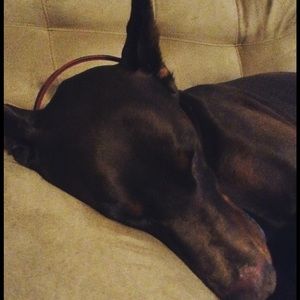 Meet your Posher, Mimi