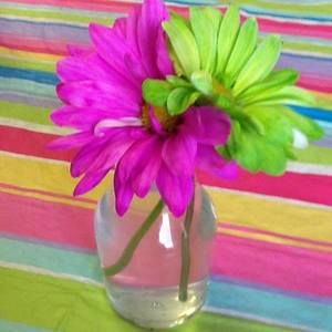 Meet your Posher, Ann