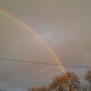 Meet your Posher, Angelia