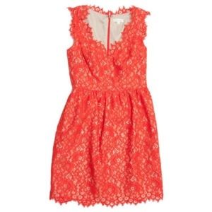 Shoshanna Lace Sierra Dress size 8