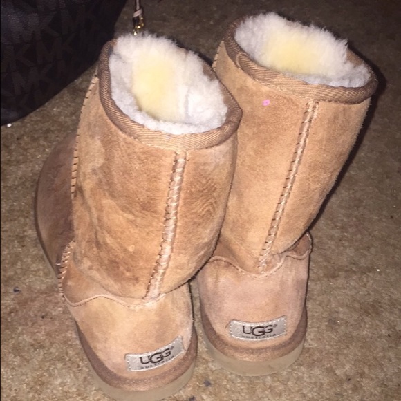 Chestnut uggs