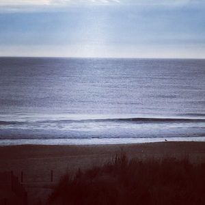 Meet your Posher, Jodi