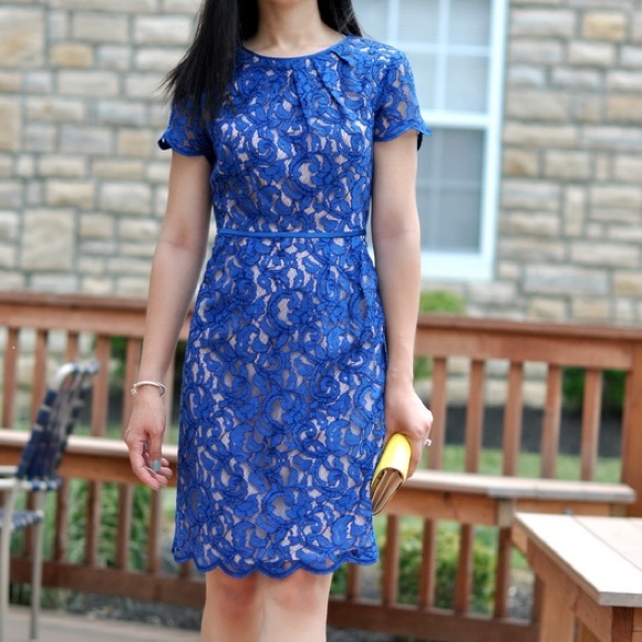 Adrianna papell Royal blue scalloped dress