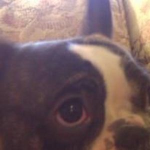 Meet your Posher, Joan