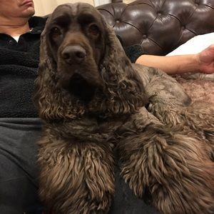 Meet your Posher, Ruth