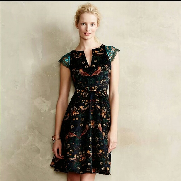 Eva Franco Dresses & Skirts - Larksong Anthropolgie Eva Franco Dress RARE!