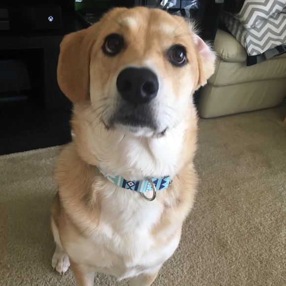 🧜🏼‍♀️Meet Your Posher🧜🏼‍♀️ - Picture 3 of 6