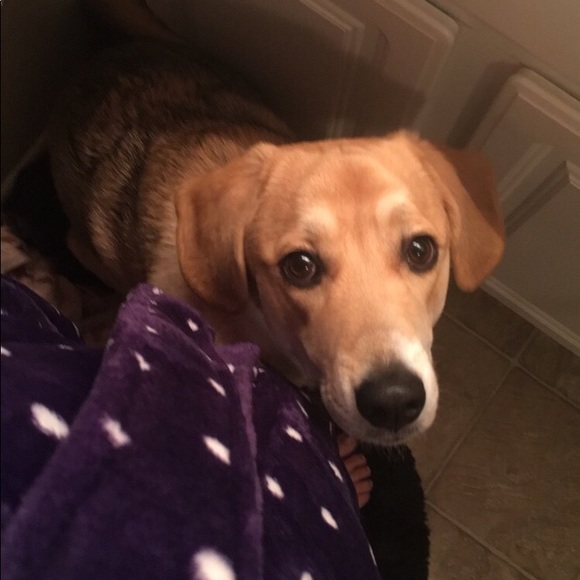 🧜🏼‍♀️Meet Your Posher🧜🏼‍♀️ - Picture 4 of 6