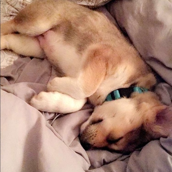 🧜🏼‍♀️Meet Your Posher🧜🏼‍♀️ - Picture 5 of 6