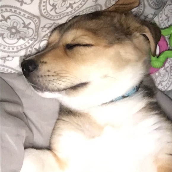 🧜🏼‍♀️Meet Your Posher🧜🏼‍♀️ - Picture 6 of 6