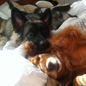 Meet your Posher, Erin