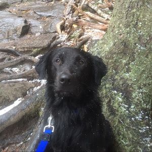 Meet your Posher, Kate