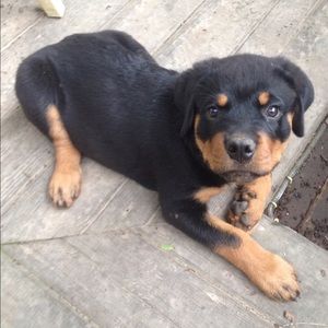 Meet your Posher, Kasey