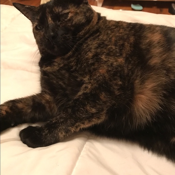 Meet your Posher, Christina - Picture 3 of 6