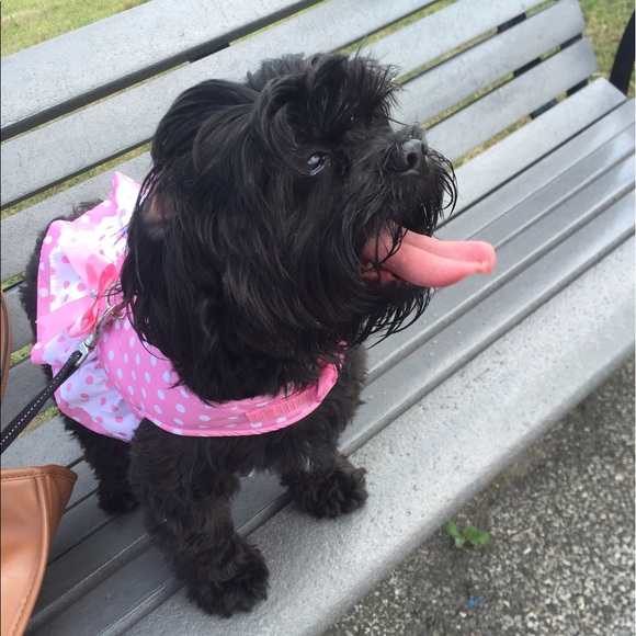 Meet your Posher, Christina - Picture 5 of 6