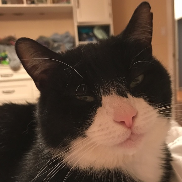 Meet your Posher, Christina - Picture 6 of 6