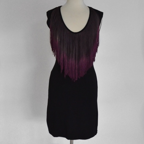 Tart Ombré Fringe Dress