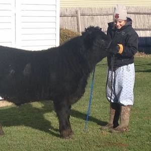 Meet your Posher, Brittany