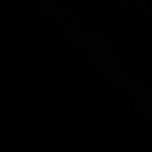 Meet your Posher, Willow