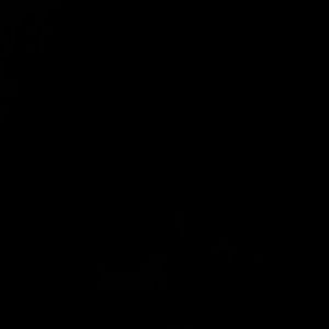 Meet your Posher, Marcie