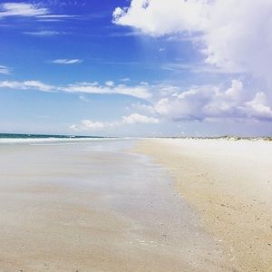 Meet your Posher, Carole