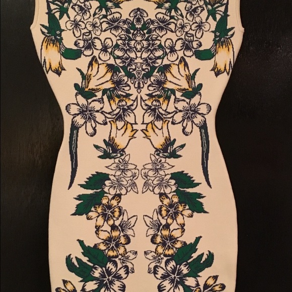 New Bcbg tiger lily knit dress. NWT. Gorgeous