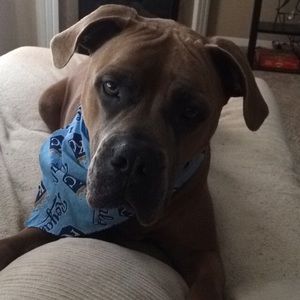 Meet your Posher, Kaleigh