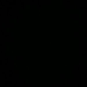 Meet your Posher, Hector