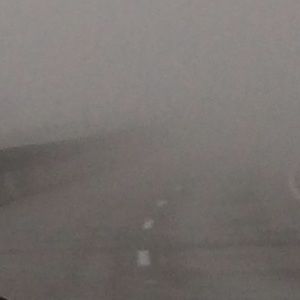 Meet your Posher, Carls