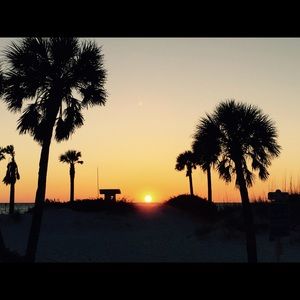 Meet your Posher, Jerina