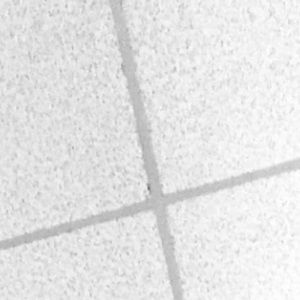 Meet your Posher, Ciara