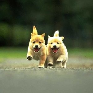 Meet your Posher, Elinora