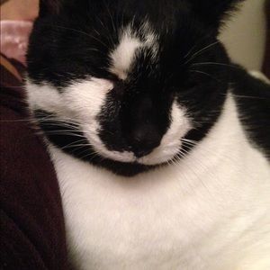 Meet your Posher, Juliann