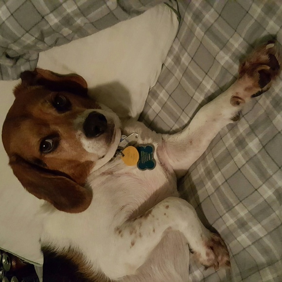 Meet your Posher, Janet - Picture 1 of 1