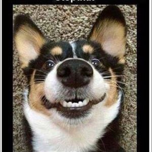 Meet your Posher, Randi