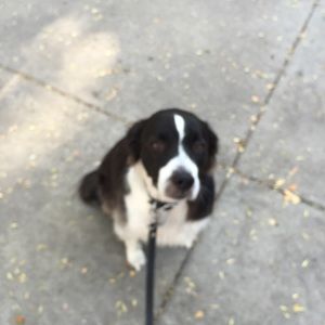 Meet your Posher, Sue