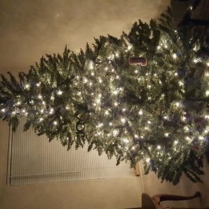 Meet your Posher, Sage