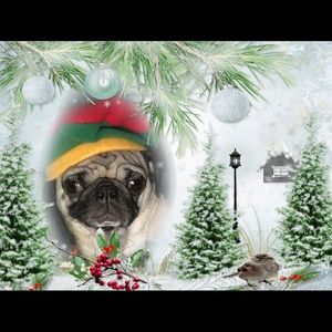 Meet your Posher, Jenn