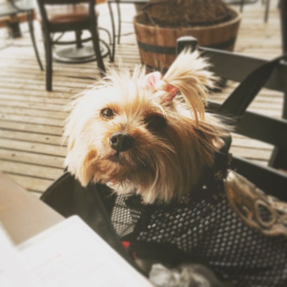 Meet your Posher, Pascalr - Picture 2 of 3