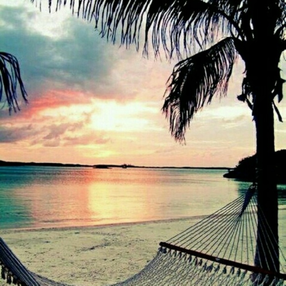 Meet your Posher, Trisha