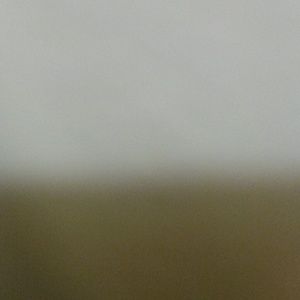 Meet your Posher, Chantel